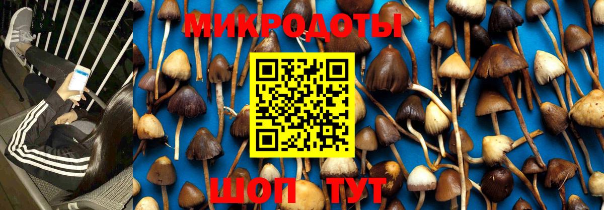 Галлюциногенные грибы Magic Shrooms Нальчик