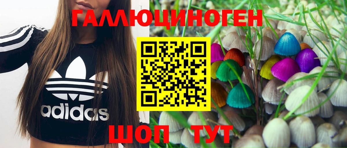 Нальчик  Галлюциногенные грибы Psilocybine cubensis  Вход с VPN  Галлюциногенные грибы MAGIC MUSHROOMS 